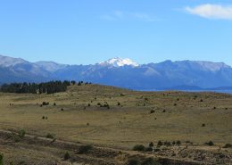 descubriendo la estepa