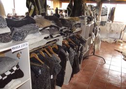 descubriendo la estepa