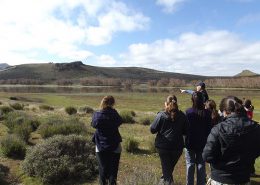 descubriendo la estepa