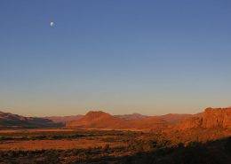 descubriendo la estepa