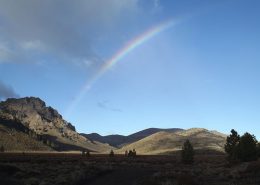 descubriendo la estepa