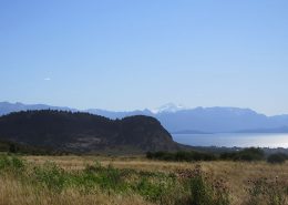 descubriendo la estepa