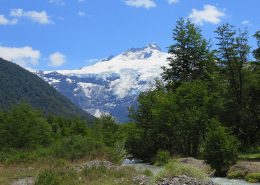 excursion circuito chico y cerro campanario